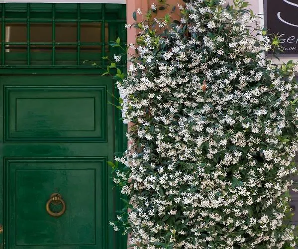 Unique View Over St. Peter's Dome! Rome