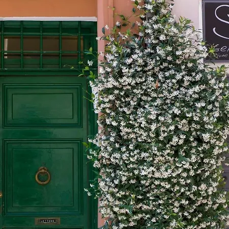 Unique View Over St. Peter's Dome! רומא